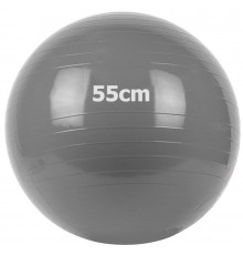 GM-55-1 Мяч гимнастический "Gum Ball"  55 см (серый)