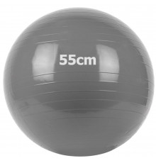 GM-55-1 Мяч гимнастический "Gym Ball"  55 см (серый)