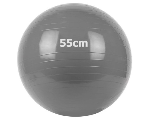 GM-55-1 Мяч гимнастический "Gym Ball"  55 см (серый)