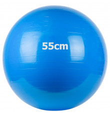 GM-55-2 Мяч гимнастический "Gym Ball"  55 см (синий)