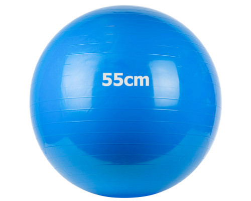 GM-55-2 Мяч гимнастический "Gym Ball"  55 см (синий)