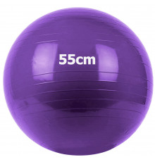 GM-55-4 Мяч гимнастический "Gym Ball"  55 см (фиолетовый)