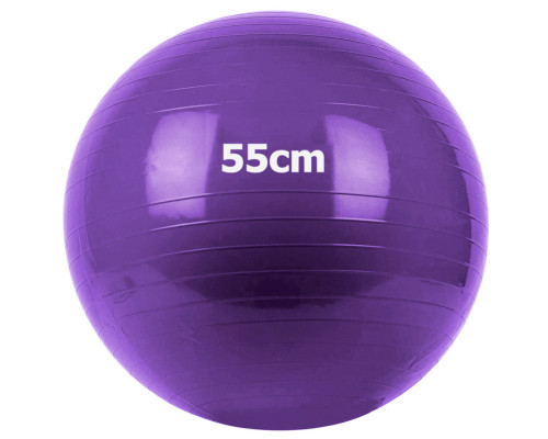 GM-55-4 Мяч гимнастический "Gym Ball"  55 см (фиолетовый)