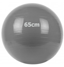 GM-65-1 Мяч гимнастический "Gym Ball"  65 см (серый)