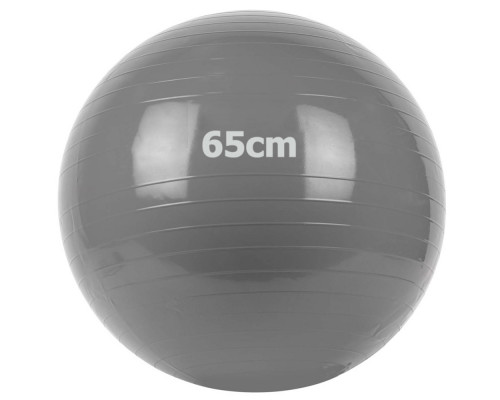 GM-65-1 Мяч гимнастический "Gym Ball"  65 см (серый)