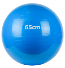 GM-65-2 Мяч гимнастический "Gym Ball"  65 см (синий)