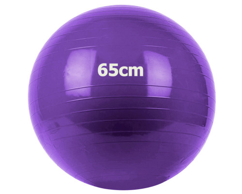 GM-65-4 Мяч гимнастический "Gym Ball"  65 см (фиолетовый)