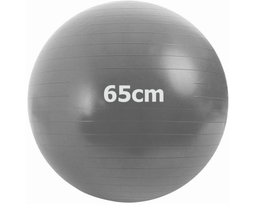 GMA-65-A Фитбол Антивзрыв 65 см (серый)